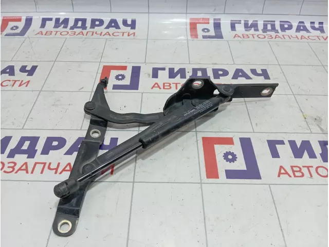 Петля крышки багажника правая Hyundai Sonata (EF) 792203D000