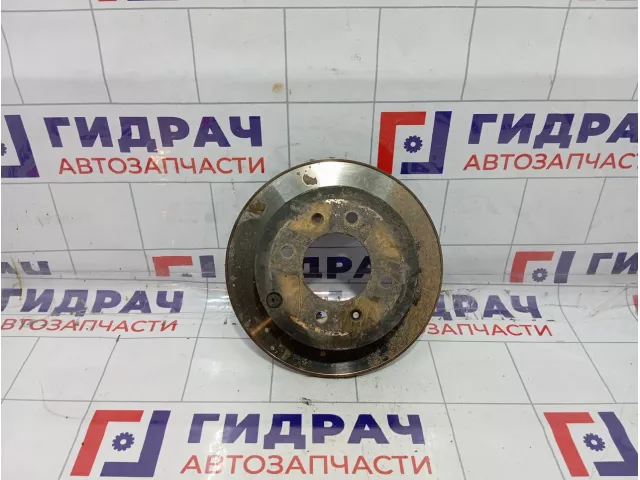 Диск тормозной задний Hyundai Sonata (EF) 58411-38310