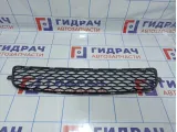 Решетка радиатора Hyundai Starex (A1) 86564-4A400