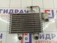 Радиатор масляный Hyundai Tucson (JM) 25460-2E100