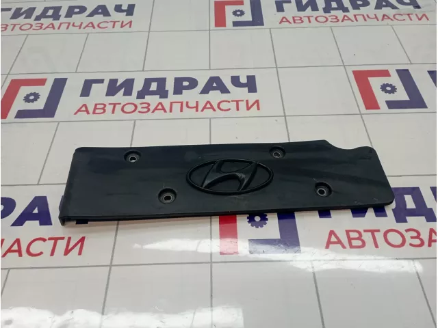 Накладка двигателя Hyundai I30 (FD) 22405-2B000