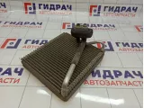 Испаритель кондиционера Hyundai I30 (FD) 97140-1H000