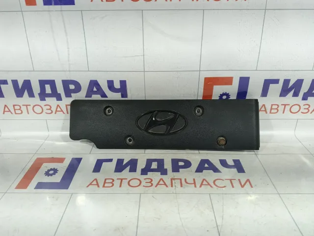 Накладка декоративная на клапанную крышку Hyundai i30 224052B000