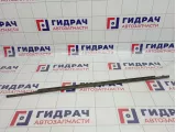 Накладка стекла заднего правого Infiniti FX50 (S51) 82820-1CA0A