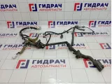 Проводка двери передней левой Infiniti FX50 (S51) 24125-1CA5A