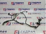 Проводка двери задней Infiniti FX50 (S51) 24126-1CA0A