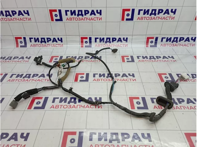 Проводка двери задней Infiniti FX50 (S51) 24126-1CA0A