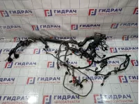 Проводка двигателя Infiniti FX50 (S51) 24011-1CA2A