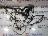 Проводка двигателя Infiniti FX50 (S51) 24011-1CA2A