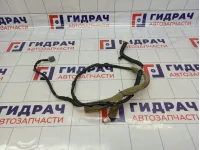 Проводка потолка Infiniti G35 (V36) 24060-JK60B