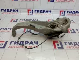 Кулак поворотный передний левый Infiniti G35 (V36) 40015-EG000