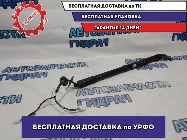 Амортизатор двери багажника Infiniti FX35 s51 905603FY0B Правый.