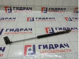 Амортизатор крышки (двери) багажника левый Infiniti FX35 90452CG010