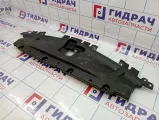 Кожух замка капота Infiniti G35 (V36) 625C0-JK00A