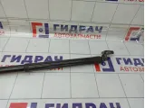 Амортизатор крышки (двери) багажника левый Infiniti JX35/QX60 905603JA0A
