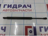 Амортизатор крышки багажника Infiniti M35 (Y50) 84430-EJ20A