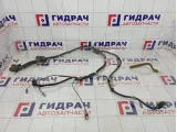 Проводка двери задней левой Infiniti QX56 (Z62) 24127-1ZS0A