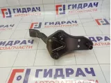 Педаль газа Infiniti QX56 (Z62) 18002-1LA1A