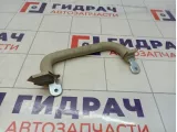 Ручка внутренняя потолочная Infiniti QX56 (Z62) 76943-1LA0A