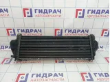 Интеркулер Jeep Grand Cherokee (WK2) 55038004AD