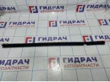 Уплотнитель стекла двери задний левый Kia Sportage (SL) 83231-3W000