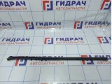 Уплотнитель стекла переднего левого Kia Optima (TF) 82231-2T000