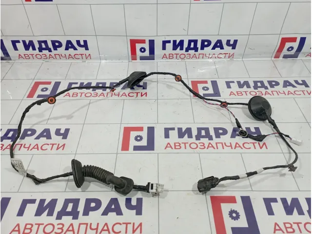 Проводка двери задней левой Kia Venga (YN) 91650-1P010