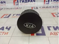 Подушка безопасности в рулевое колесо Kia Venga (YN) 56900-1P000