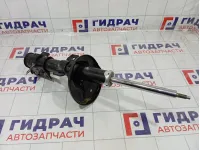 Амортизатор передний левый Kaiyi E5 202001064AA