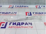 Подсветка салона Kaiyi E5 401001773AA