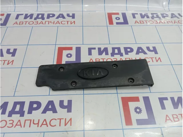 Накладка двигателя декоративная Kia Ceed (ED) 22405-2B010