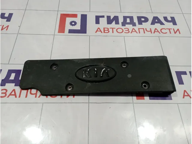 Накладка декоративная на двигатель Kia Cerato (TD) 22405-2B010