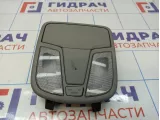 Плафон салонный Kia Optima (TF) 928002T01287