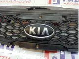Решетка радиатора Kia Rio 863601G600