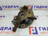 Кулак поворотный передний левый Kia Rio 517150U000