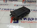 Абсорбер (фильтр угольный) Kia Rio 314204L000