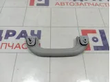 Ручка внутренняя потолочная Kia Rio 2 (JB) 85334-1G000