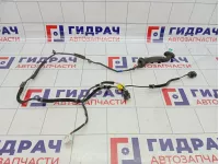 Проводка двери задней правой Kia Rio 2 (JB) 91660-1G012