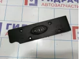 Накладка декоративная Kia Rio 3 (QB) 22405-2B010