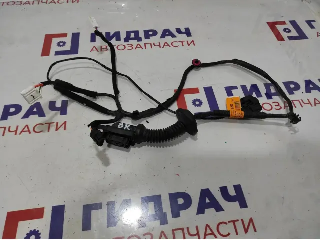 Проводка двери задней правой Kia Rio 4 рестайлинг 91665-H0130.