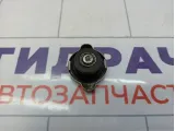 Крышка радиатора Kia Sorento (XM) 25330-2E000