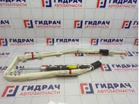 Подушка безопасности боковая (шторка) правая Kia Sorento (XM) 850202P500