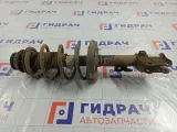 Амортизатор передний левый Kia Soul 546502K850
