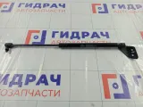 Амортизатор крышки (двери) багажника правый Kia Soul 817802K000