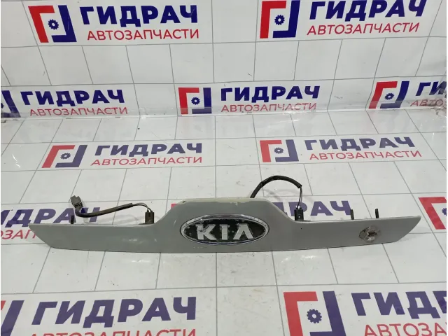Накладка двери багажника Kia Sportage (KM) 92501-1F000