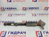 Амортизатор задний Kia Stinger 55300J5030