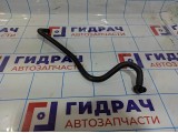 Шланг вакуумного усилителя тормоза LADA VESTA 8450020015.
