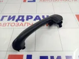Накладка ручки внутренней задней правой Lada Granta 21900620218800