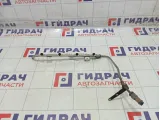 Топливная рампа (топливная рейка) Lada Granta 1119114401001
