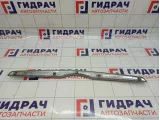 Накладка решетки радиатора Lada Granta 21902803242